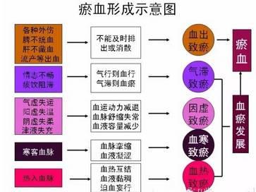 这么多病都是瘀血造成的,化瘀血最好的方法送给你(深度好文) - 知乎