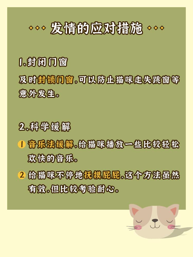 猫咪发情怎么办?科学应对发情期! - 知乎