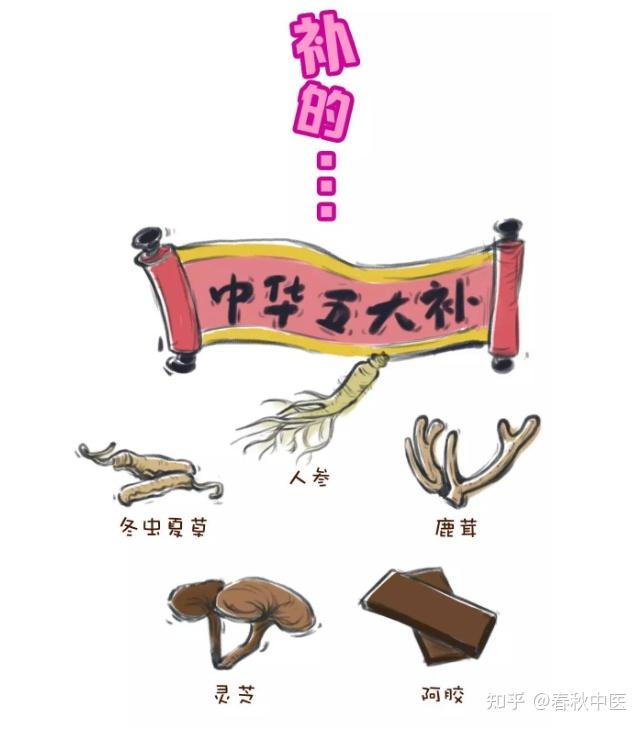 为什么总有人执着于通过服用补药达到强身健体之效? ——再说中药不能补充精气(通俗版) - 知乎