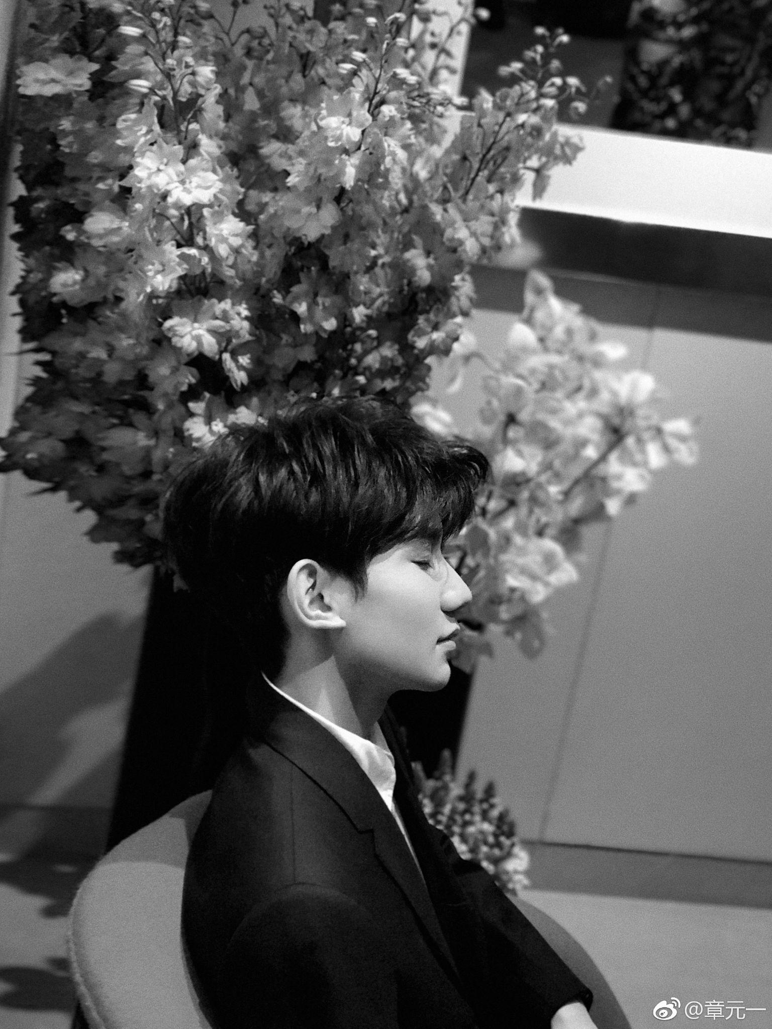 如何看待王源粉丝大规模爬墙史强?(手动狗头)