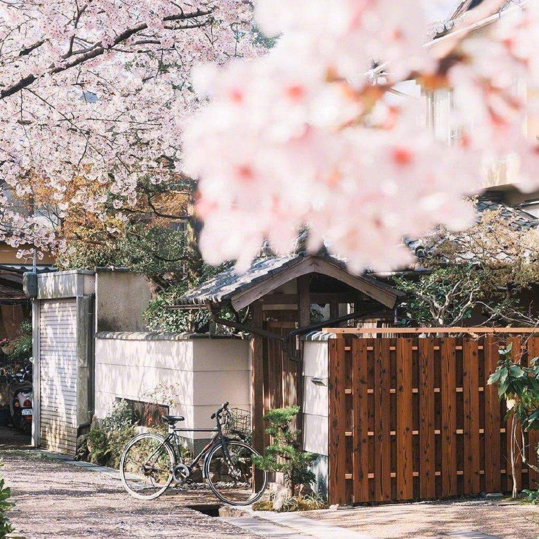 21新年日剧最全清单 快收藏 知乎 21新年日剧最全清单 快收藏 知乎