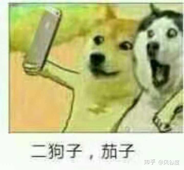 京东方A和京东方B的区别?