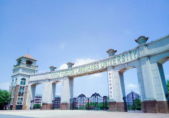 我是一个让你嫉妒的安外人