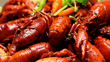 抖音美食的那个音乐是什么名字_抖音网红美食音乐节_抖音美食节目