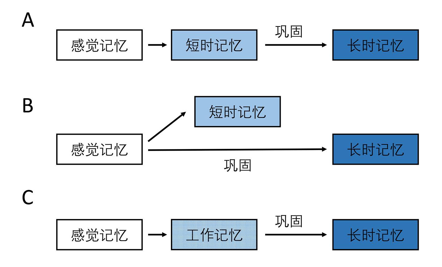 记忆的分类及其理论模型