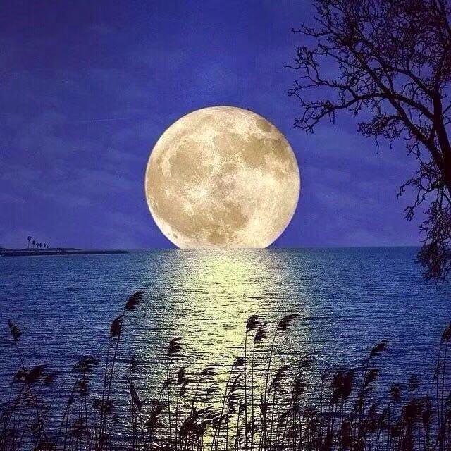 月圆之夜照片图片