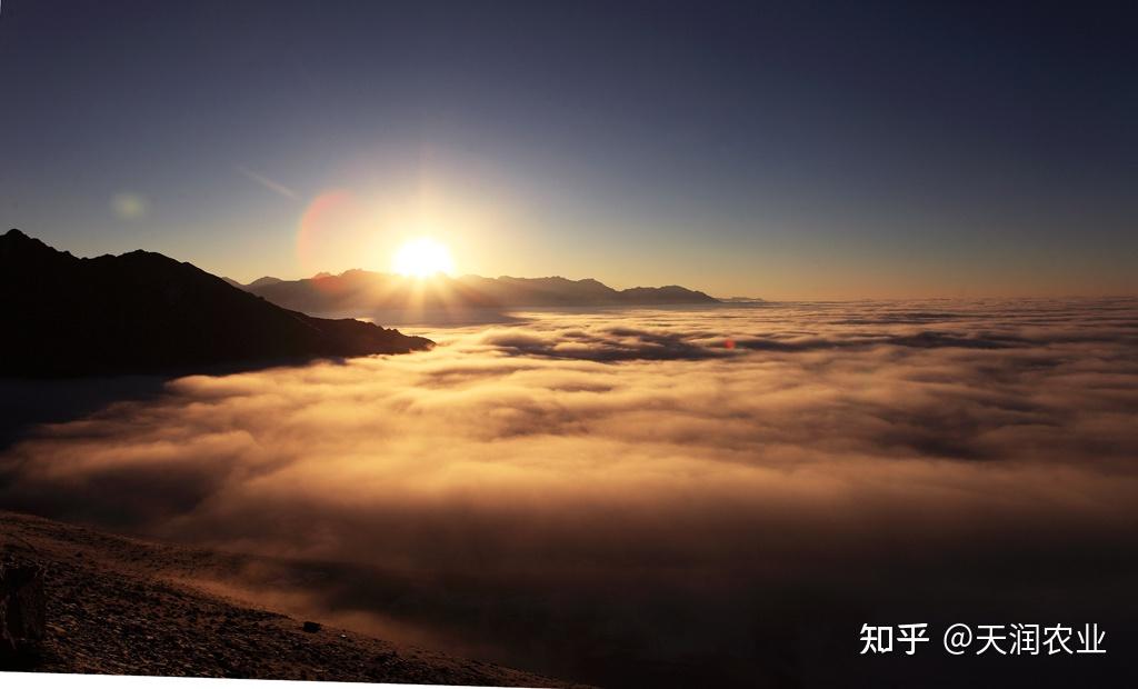 雅安丨云海篇之夹金山 - 知乎