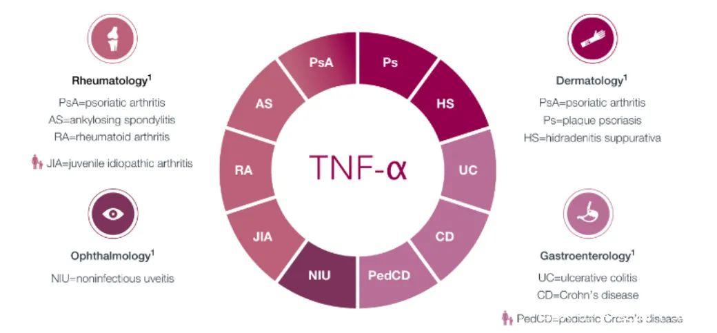 Tnf Build 医药研究11丨“药王”修美乐的专利悬崖,亦是制药企业的“兵家常事” - 知乎
