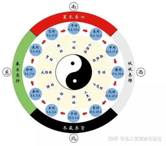 中医子午流注十二时辰养生法 知乎