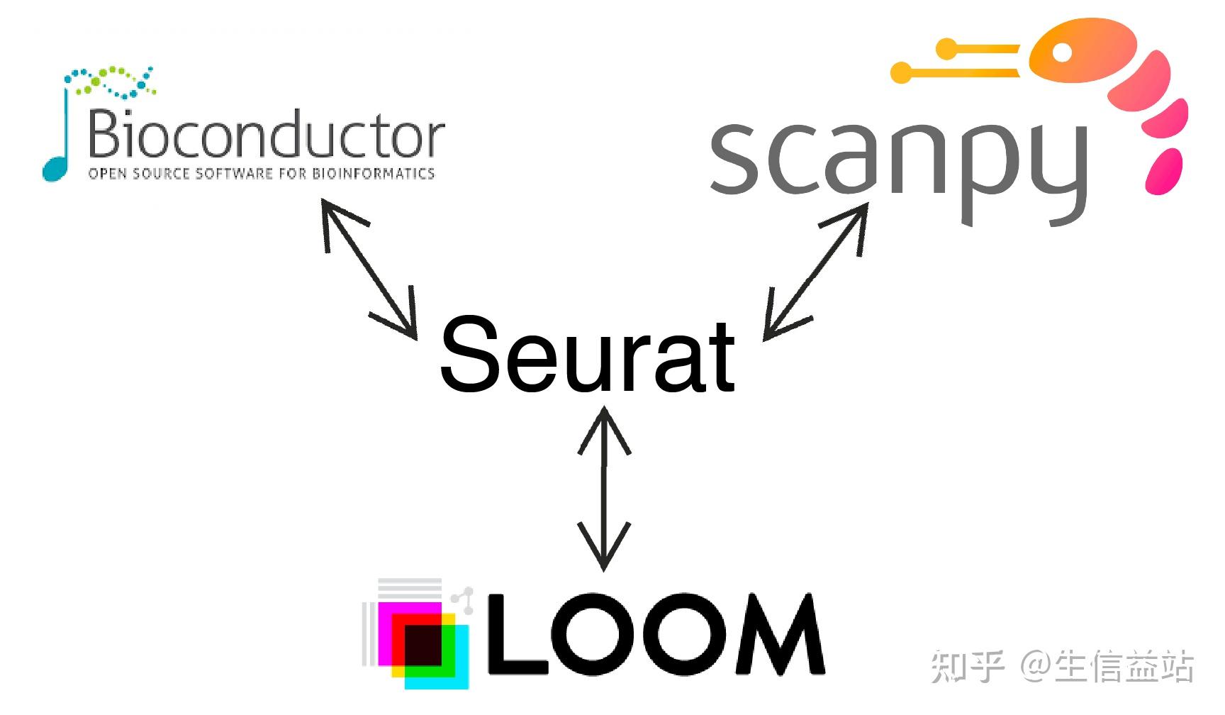  seurat anndata h5ad loom singlecellexperiment 