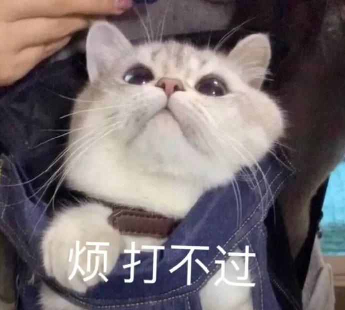 哥沙雕文案,大哥沙雕文案