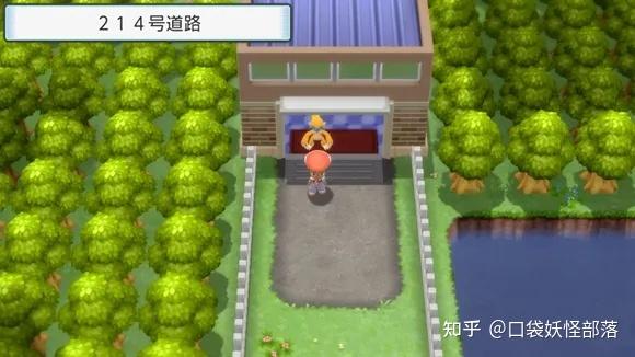 宝可梦晶灿钻石发售日期(《宝可梦晶灿钻石明亮珍珠》一周目图文攻略)  第145张