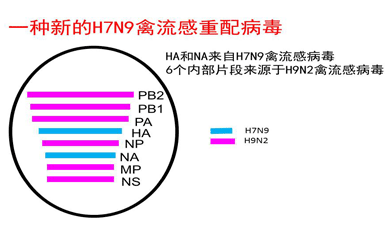 冬来春去H7N9,挥之不去的阴霾 - 流行病观察