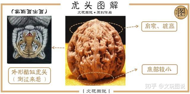 图说丨文玩核桃，文玩核桃分类大全，四大名核，看图就懂- 知乎