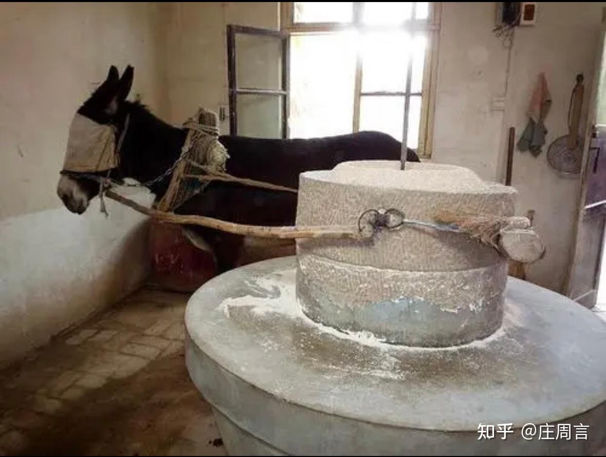 35岁现象:中国互联网职场“人矿”的艰难求职故事 - 知乎