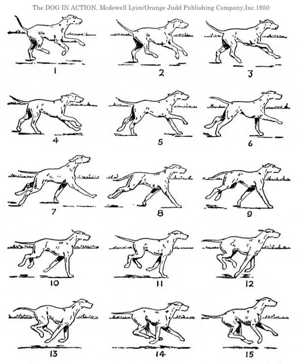 100种走路方式图解图片