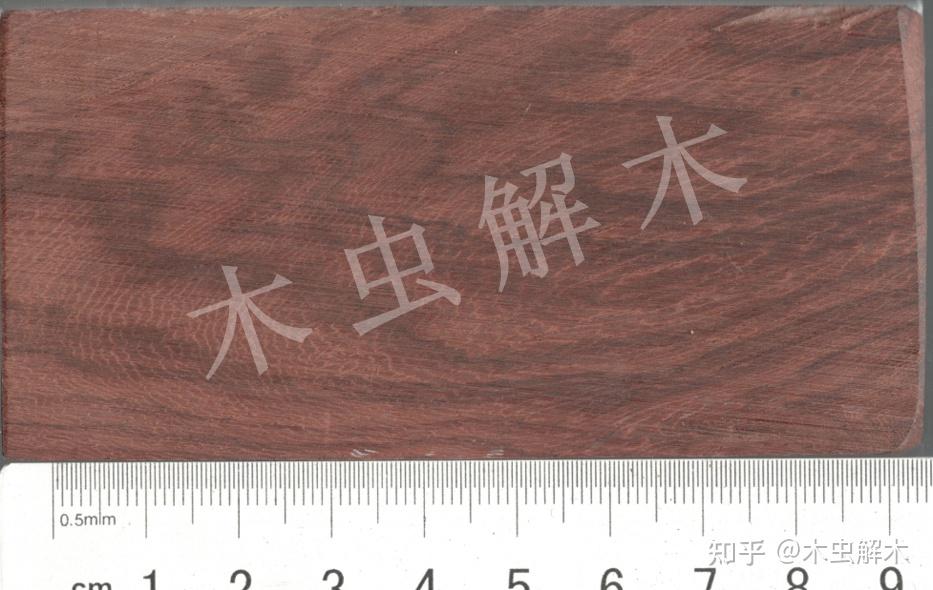 红酸枝木类——巴里黄檀,奥氏黄檀