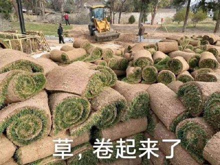 表情包：打工人必备内卷表情包 知乎 