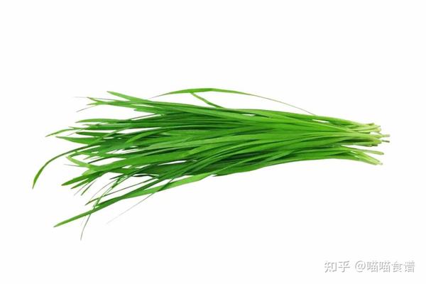 韭菜薹?韭黄?韭菜?这次终于分清了 - 知乎