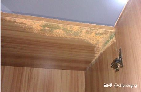 第五代全钢绿色家居还解决传统橱柜都 开胶开裂变形凹凸膨胀下陷弊病.