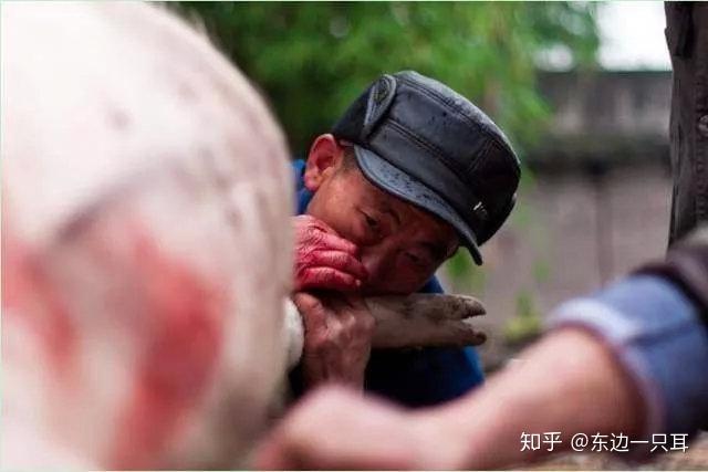 杀年猪的那些事你知道多少
