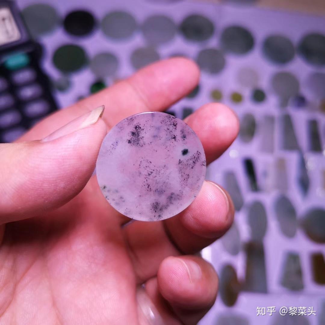 黑色的翡翠——乌鸡种