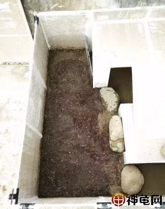 入门级瓷片龟池怎么建造?这里有超详细讲解!