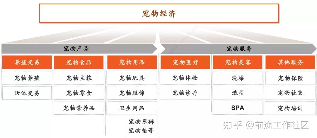2021宠物市场数据分析报告
