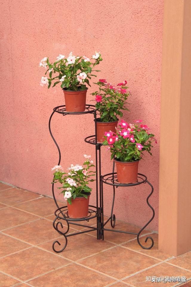 巧用花架搭出景观