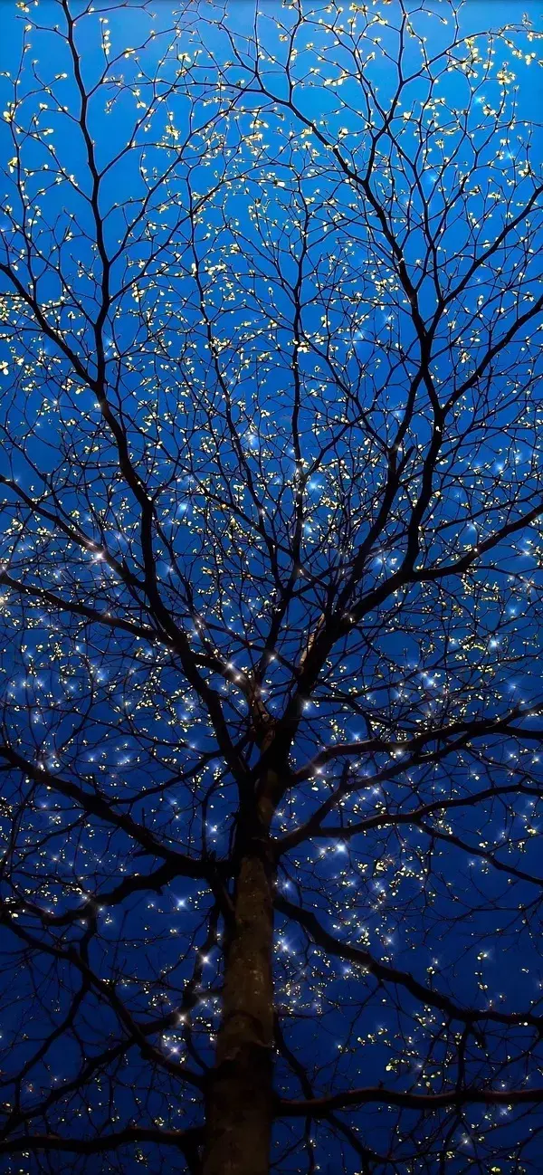 【蓝色系壁纸】很丧/伤感/难过/失落/负能量的emo文案