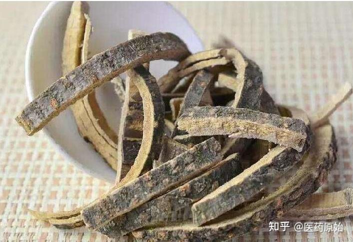 带你识别合欢皮 - 知乎