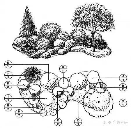 地被植物平面图例手绘图片