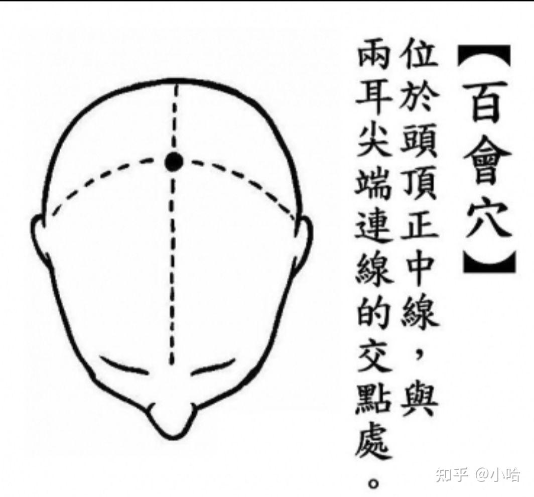 百会穴,养胃降压 - 知乎
