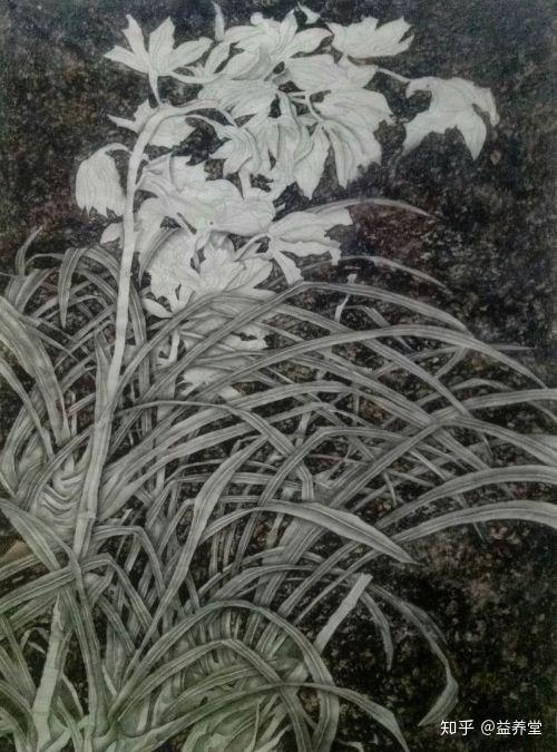 张瑞的艺术之路