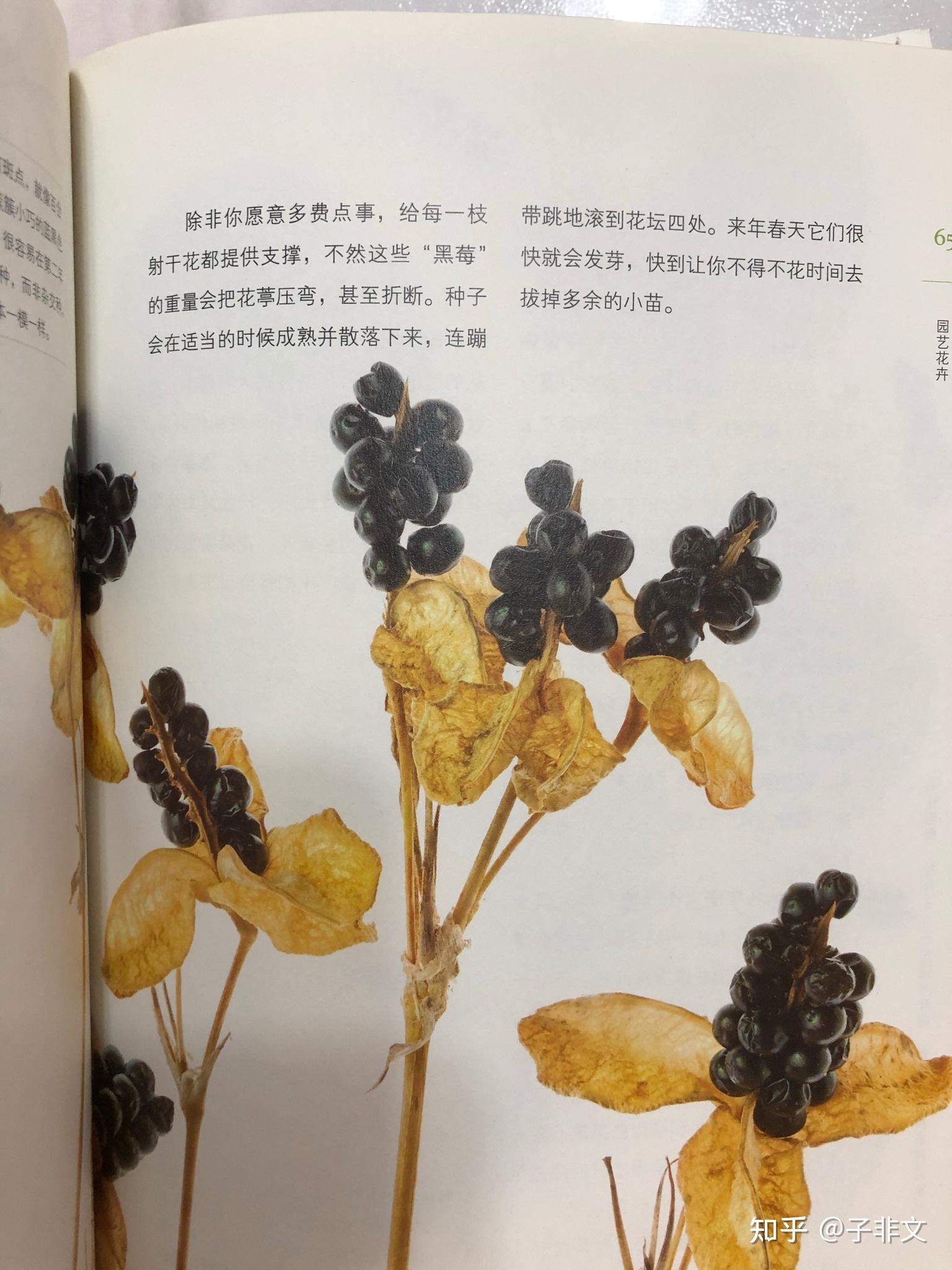可以学的新知识有哪种书_可以学的新知识有哪种书_可以学的新知识有哪种书