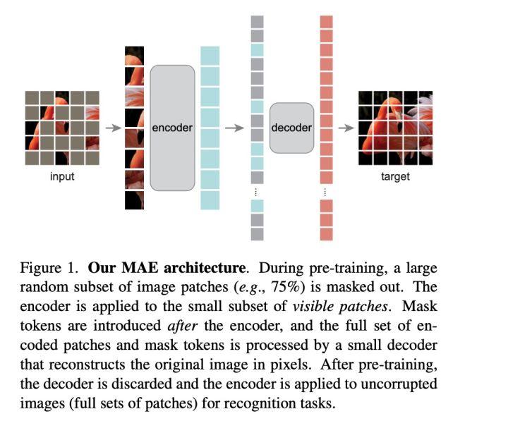 MAE的理解和代码 - 知乎