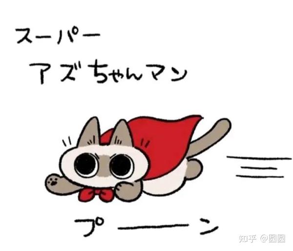 小豆泥表情包 知乎 