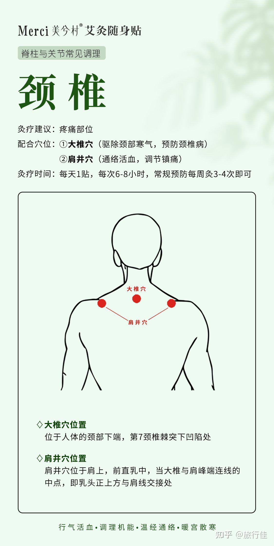 大椎是什么位置图片图片