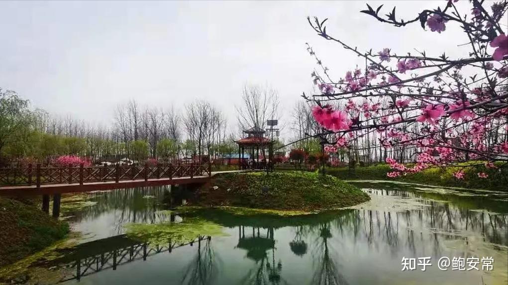 阜阳阜南:山水人文·乡镇篇 公桥乡