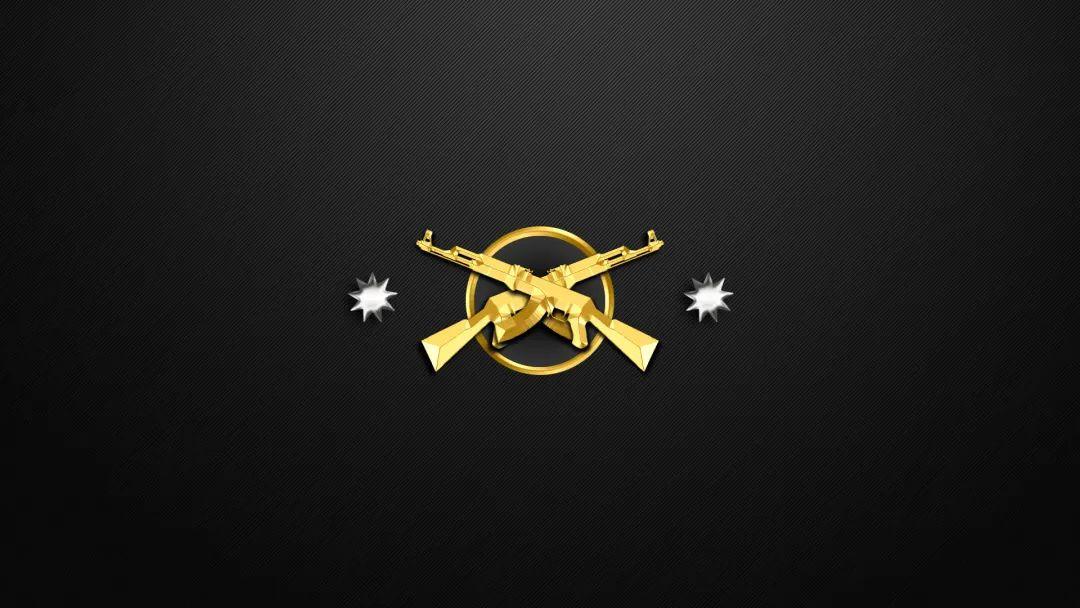 csgo壁纸段位