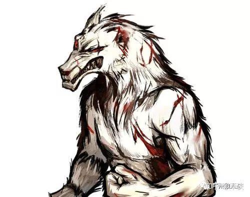 预女骑守 白狼王:骑士有且仅有一次机会,可以在白天翻牌自证然后选择