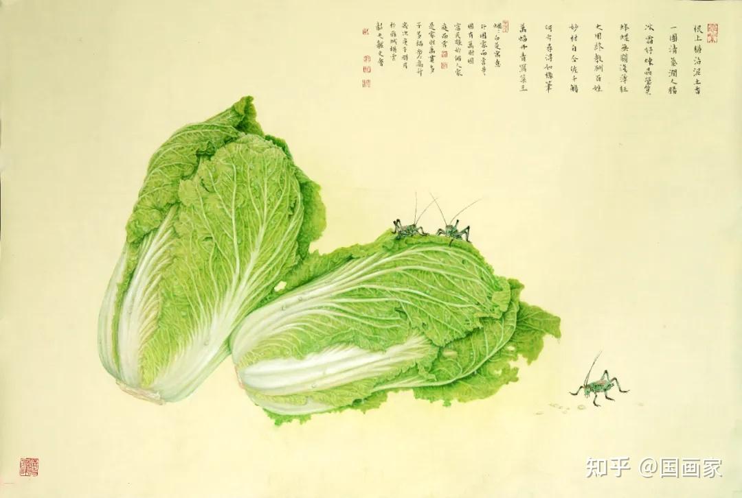 中国工笔画白菜第一人:龙文会作品欣赏 