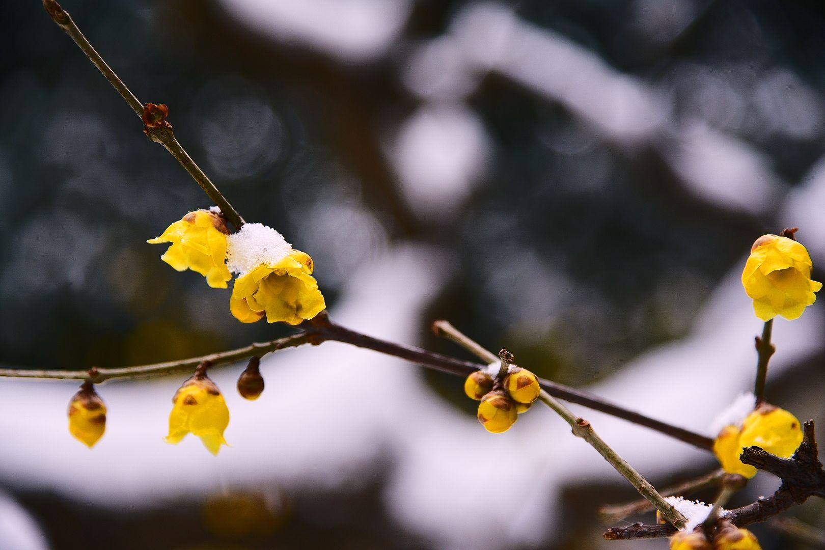 你用过最好的修图软件有哪些?