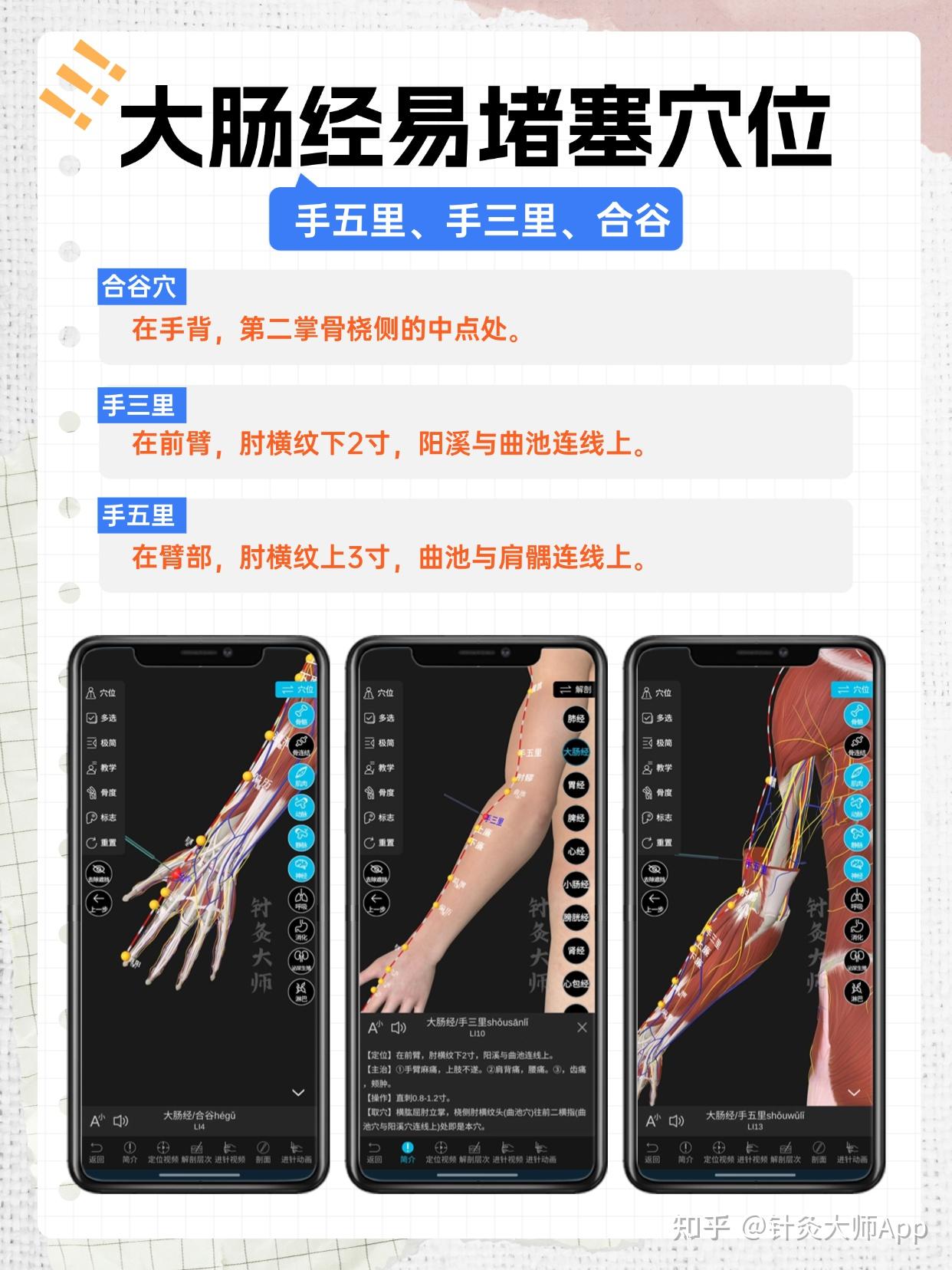 经络 | 人体健康钥匙 - 知乎