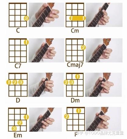 基础科普篇:认识和弦图 - 知乎