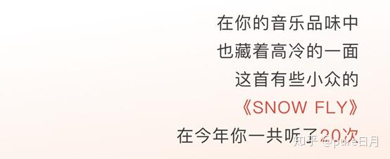 网易云年度报告