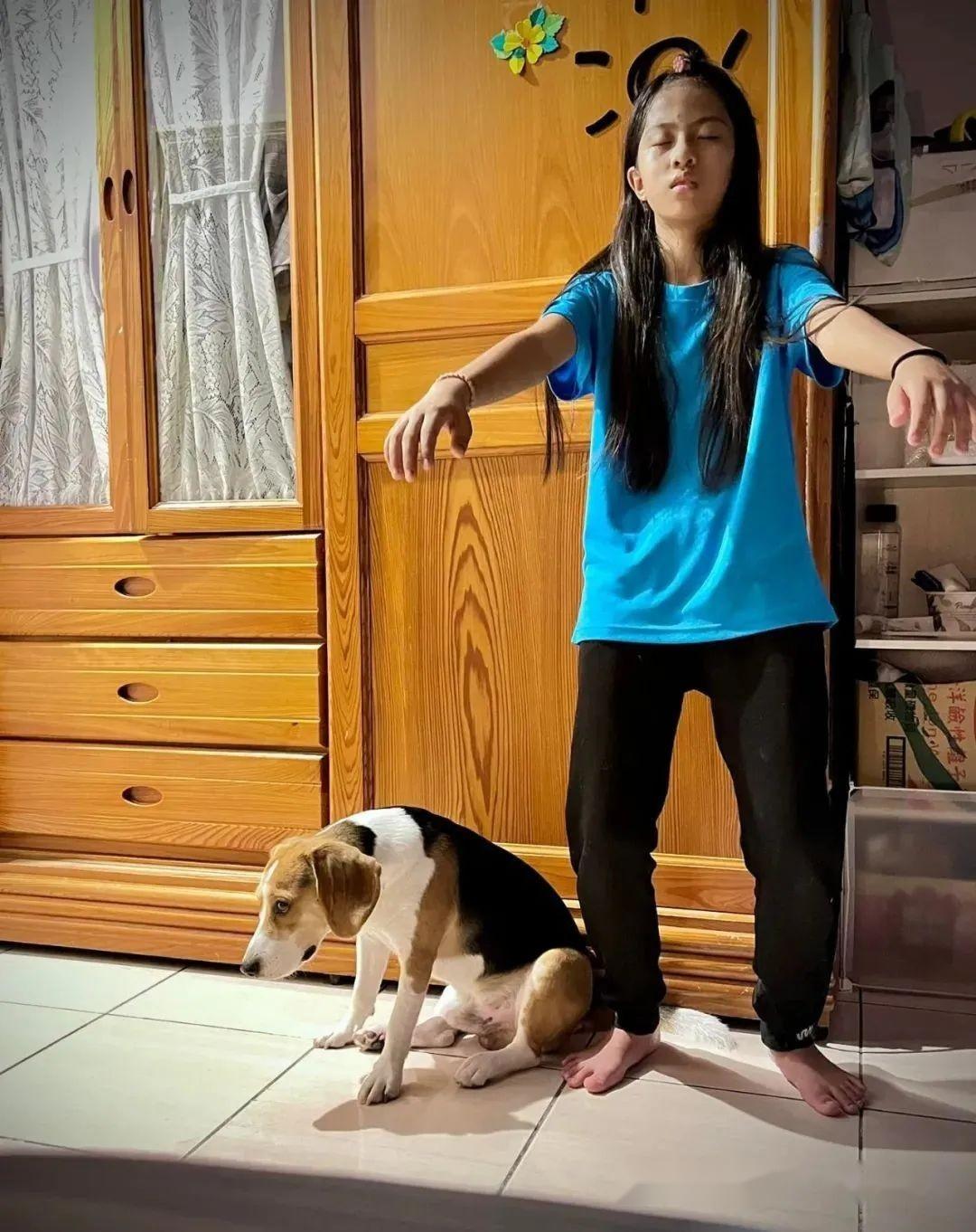 陪姐姐一起罚站的狗子,心酸又搞笑.