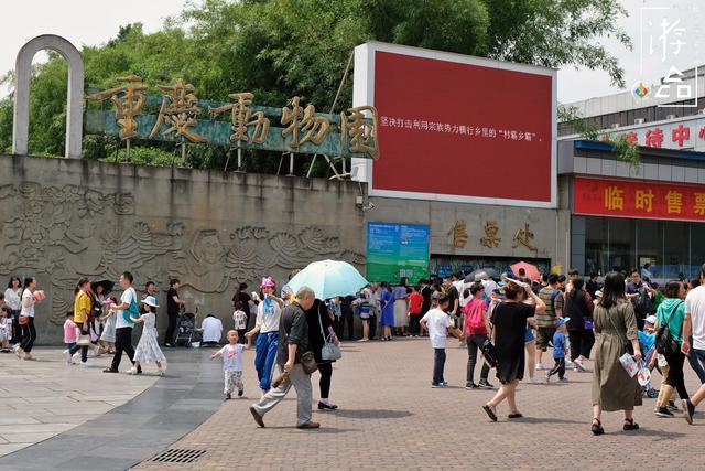 重庆杨家坪动物园,其前身为重庆西区公园,于1955年正式开门迎客.