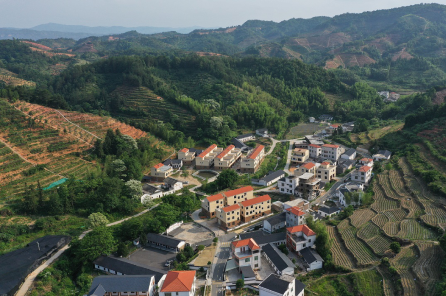 走进樟溪村,平坦的沥青路穿村而过,白墙黛瓦的民居错落有致,路边有