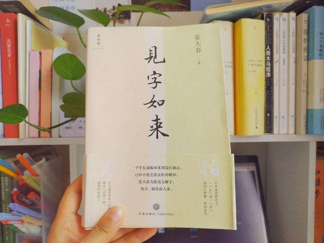 汉字有温度,张大春《见字如来》,揭秘汉字背后的“字里人生” - 知乎